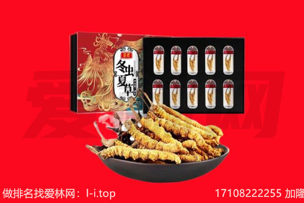 佛山市回收虫草.jpg